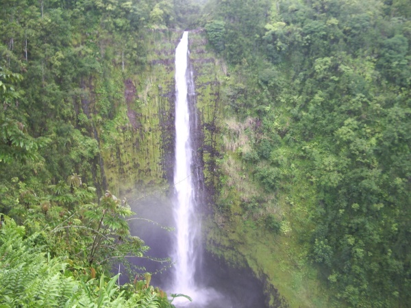 Akaka Falls State park waterval | Hamakua Coast